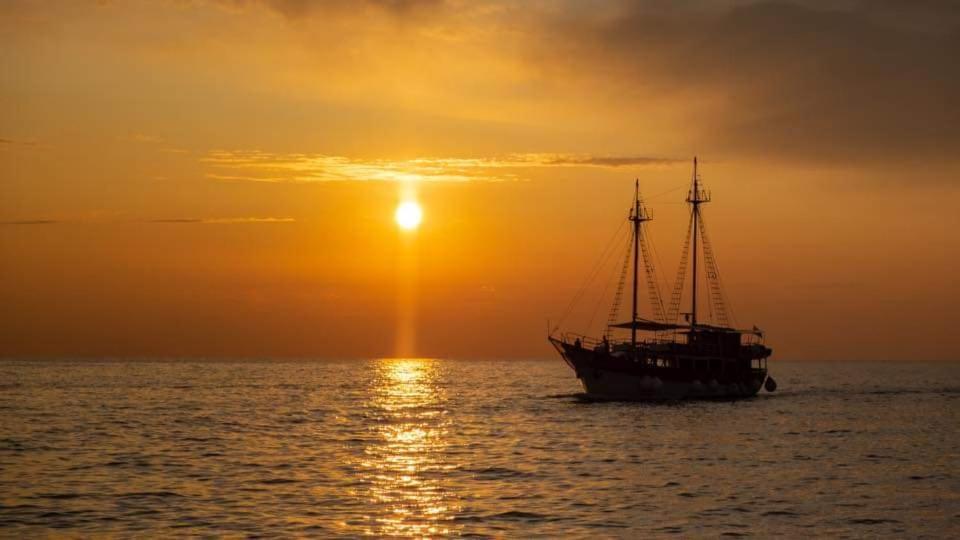 Grisia 26 *